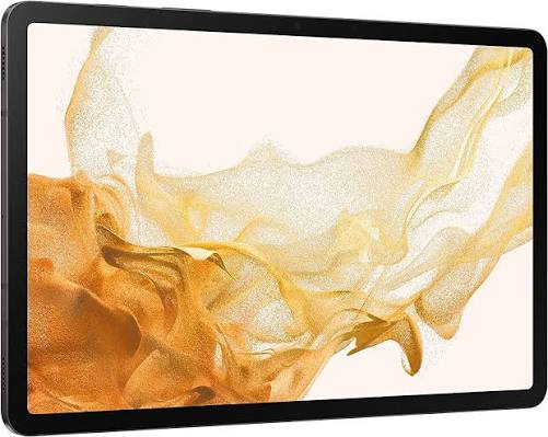 Tablette SAMSUNG Galaxy Tab S6 Lite 64 Go Taille de l'écran 9,5