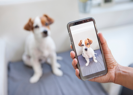 Mastering Mobile Photography: Tips for Stunning Smartphone Photos